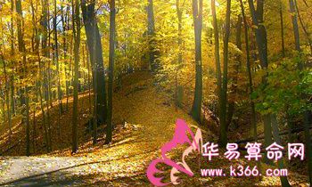 五行属山头火是什么意思（八字纳音五行解析山头火）