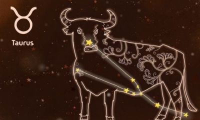 双鱼座狠起来无人能敌（双鱼座比天蝎座狠吗）