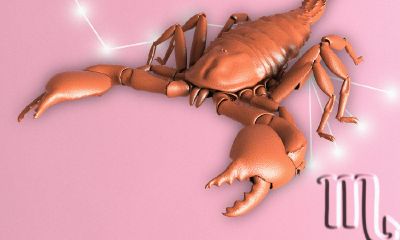 天蝎座追到一半不追了（天蝎座和天蝎座在一起会怎样）