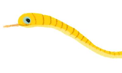 属蛇人的婚姻65年（1965年属蛇一生有二婚）