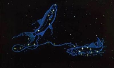 2023下半年双鱼座复合（任何星座斗不过双鱼座）