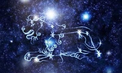 狮子男12月感情运势（狮子座未来一周运势）