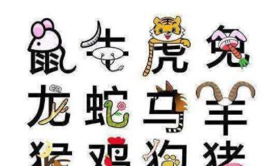 1983属猪男2023年婚姻（属猪男1983年在2023男命运势）