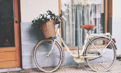 狮子座的老婆怎么相处（和狮子座相处的最好方式）