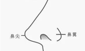 鼻子通财运吗（做鼻子可以带来财运吗）