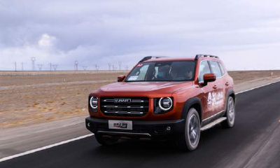 哈佛大狗边牧旺财颜色（哈弗大狗旺财）