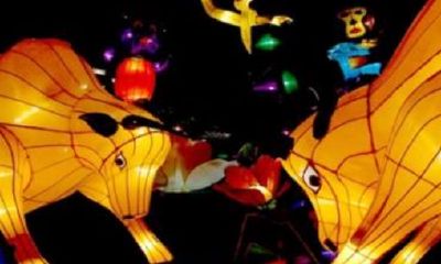 聚财牛是什么寓意（九鱼聚财的寓意是什么）