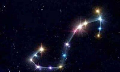 天蝎座最爱哪个星座（最能让天蝎座动心的星座）