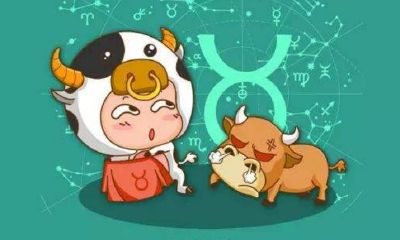 金牛座从来不说喜欢你（金牛座说不喜欢你是真的吗）