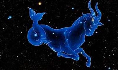 95年的摩羯座男能找到对象吗（摩羯座最佳结婚对象）