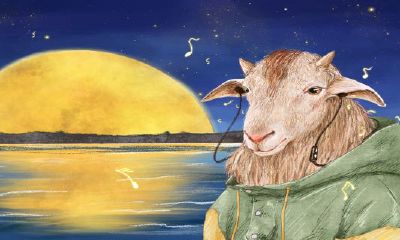 属羊人最苦命出生月份（91年属羊女命太苦了）