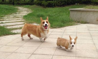 双子座男生和双子座女生该怎么相处（双子女喜欢一个人的表现）