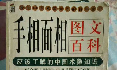 面相学谁讲的好（牙大好还是牙小好面相学）