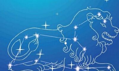 狮子座一直盯着你看（狮子座厌烦你的表现）