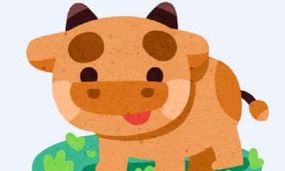 属牛的50岁以后的运势（73年属牛女晚年怎么样）