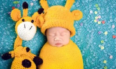 属虎的乳名萌一点的826（属虎的男孩取名）