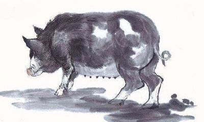 19年属猪的运势（属猪人明年运势）