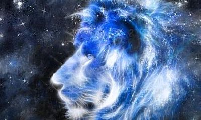 狮子座7月31日（7月23号的狮子座）