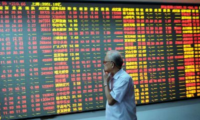 招财大牛猫封号的原因（怎么看招财大牛猫）