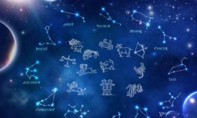 天蝎座太阳月亮上升星座查询（查上升星座怎么查询）