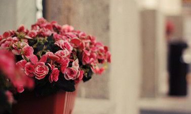 占星福点代表什么（星座合盘怎么看）