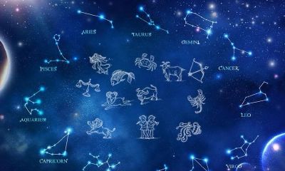 我是什么星座怎么查询双鱼座（12星座男想保护哪个星座女）