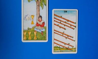 塔罗牌的预言（塔罗牌预言嫁得好不好）