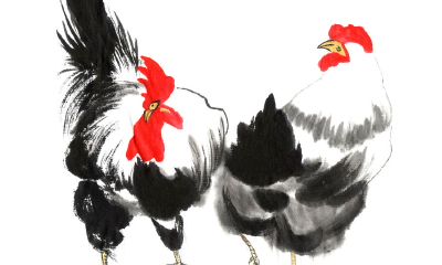 69年属鸡今天婚姻成不（六九年属鸡的婚姻如何）