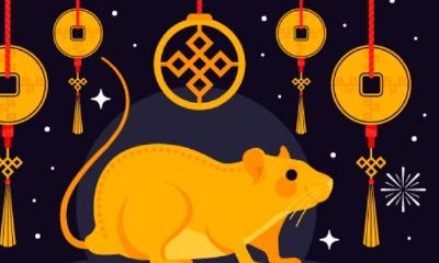 今年的生肖年是什么年（今年是啥属相年）