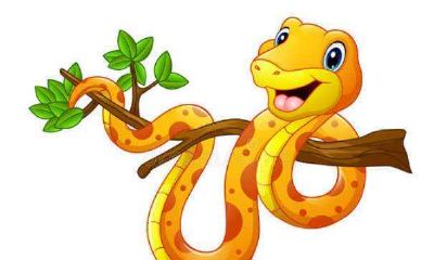 2023年属蛇的全年运（2001属蛇2023年运势）