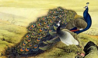 大运神煞金舆华盖（八字神煞金舆）