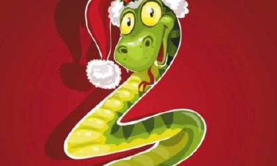 下半年生肖财运排行榜2023（十二生肖2023年运势排名）