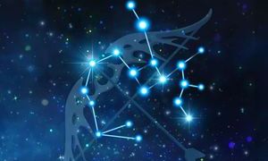 水瓶座自私好不好（水瓶座非常自私又狠）