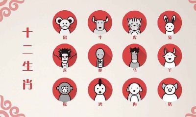 属相鼠和哪个属相不和（老鼠和什么属相不合）