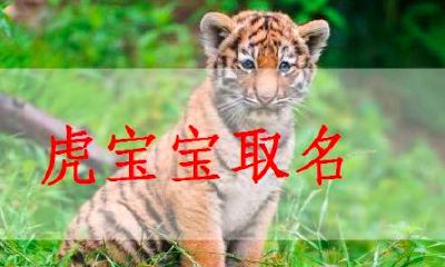 2023年水虎命取名字女大全（2023年的属兔人是什么命）