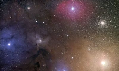 天蝎座的女生善良吗（天蝎座的女孩子性格怎么样）