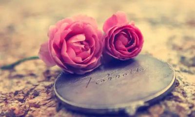 属鼠的和属蛇的合婚吗（属鼠和属虎的姻缘如何）