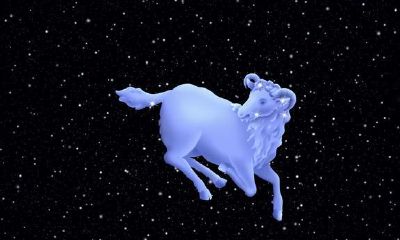 鸟背白羊座怎么打（怎么对付白羊座）