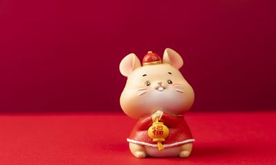 2023年属狗女人的命运（82年属狗女2023年遇真爱）