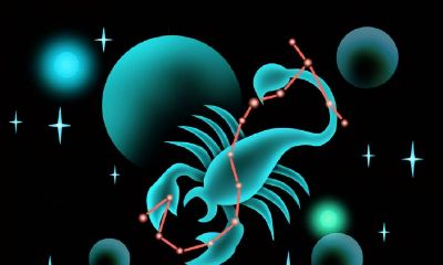 天蝎座有哪些性格特征（天蝎座女性格缺点）