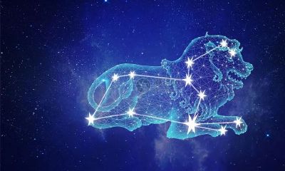 狮子座22年运势（女狮子座2023年事业运势）