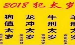 狗年犯太岁怎么化解（属狗人在牛年怎么化解）