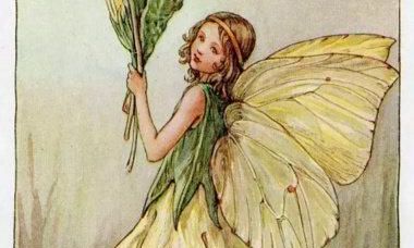 处女座牛年运势（水瓶座今日运势）