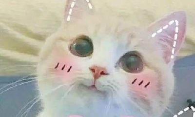 处女女为什么喜欢狮子男座（为什么很多男人喜欢狮子座女）