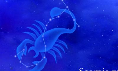 天蝎男喜欢聪明的还是笨的（天蝎男对女人的身材要求）