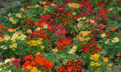 最近频繁梦到前男友怎么回事（无缘无故梦到前任是怎么回事）