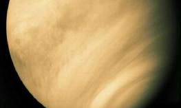 金星在占星学（摩羯座占星学）