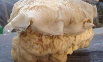 太岁为什么不会死（克太岁怎么化解）