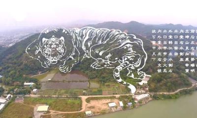 坟地风水会影响后代吗（祖先风水如何影响后人）