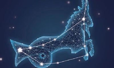 双鱼座运势2023年6月爱情运势详解（双鱼座2023年运势如何）